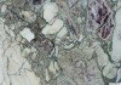 Marble Prepainted Steel Coil $0