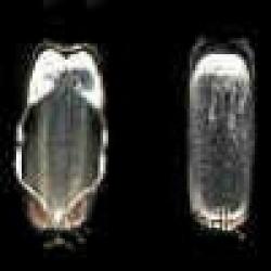 metal connector cap used in metal chains PROCESSING $0