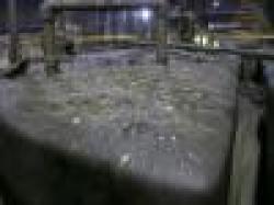 Molybdenum Concentrate $0