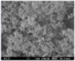 Nano Silver Powder $0