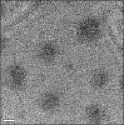 NANO Silverpowder $0