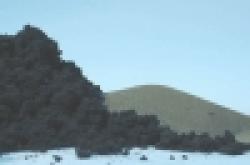 Nickel Carbonyl Powder / Foam / Pellets $0