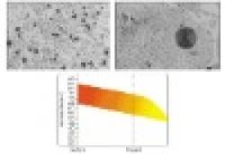 Nodular acicular rolls $0