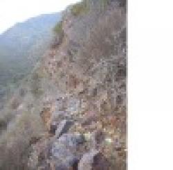 iron ore 48 to 63 % $0