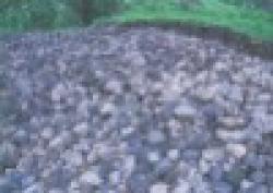 Manganese Ores 5,000 mt a m $0