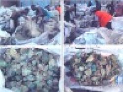 MANGANESE, LEAD, ZINC AND COPPER Ore $0