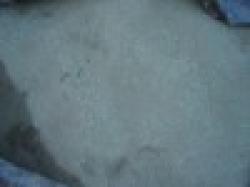 Copper Concentrate $0