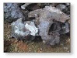 Philippines Iron Ore 64. 5% , HMS 1, 1 / 2, Used Rail, Copper Cathode 99. 99%