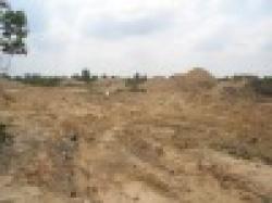 IRON ORE SINTER FEED 64,5% Indonesia Origin at 106USD PMT CNF $0