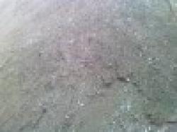 Indonesian iron ore $0