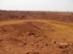 Indian Iron ore fines $0