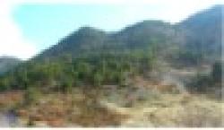 Sell Lumpy Chrome Ore $0