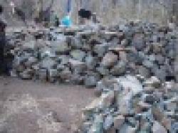 Copper Concentrate $0