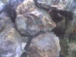 copper ore $0