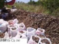 Iron Ore 64. 5% Used Rail HMS 1 HMS 1 / 2 Copper Cathode $0