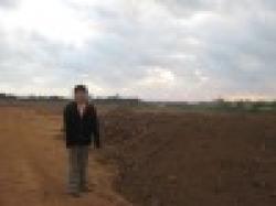 Iron Ore all types $0