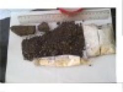 Brazilian Iron ore $0