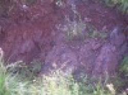 Iron ore &chromit & manganess $0