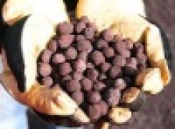Iron ore, Iron ore fines, Coal, Coke, Copper ore, Manganese ore, Fly Ash, Cement , Sponge iron, Pig Iron $0