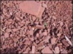 Process Perlite Ore $0