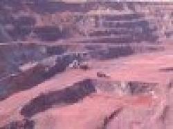 iron ore fines 63.5% $0