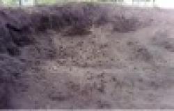 Iron Ore, Manganese Ore $0