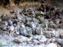 Iron Ore, Chrome Ore And Other Metals; Rice, Sugar Etc. $0