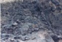 Iron Ore Fines of Indian Origin $0