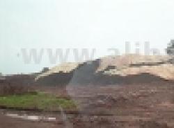 Iron ore and Manganese ore $0