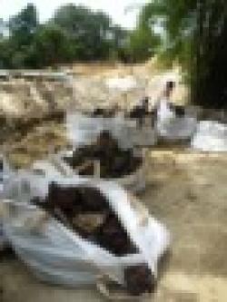 LOOKING FOR PARTNER FOR IRON ORE MINING $0