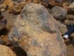 Iron ORE Fines 63. 5 $0