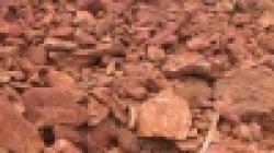 Iron Ore And Other Minerals $0