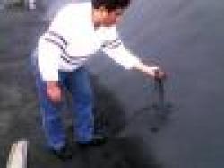 Sell Iron ORE Fines Fe 58 $0