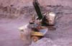 Sell Iron Ore Fine $0