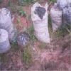 Sell Iron Ore, HMS $0