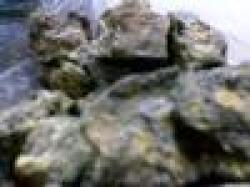 Sell Iron Ore Fines $0