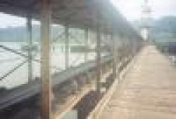 Sell Iron Ore Fines $0