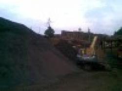 Iron Ore soft Offer $0