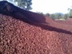 Iron Ore Fines FE 62.00 (Rejection 61.00) $0