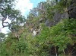 Pyrites (Iron Pyrites) And Fe-S (Ferro Sulfur) $0