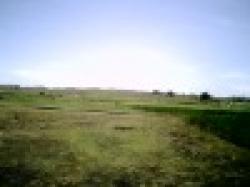 Iron Ore Sale 65% $0