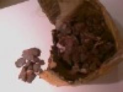 IRON ORE 67.0%FE REJEC BELOW 64.5 $0