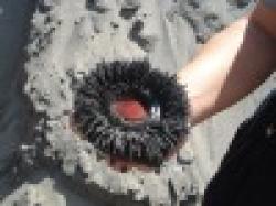 IRON ORE MINING SITE JOIN-VENTURE $0