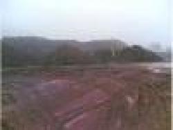 Iron Ore, Chromite, Marble $0