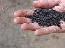 Sell Iron Ore From India $0
