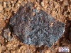 IRON ORE, MANGANESE ORE, PIG IRON & OTHER MINERALS DIRECTLY FROM OUR MINES $0