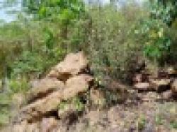 Brazilian Iron Ore $0