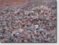 Sell Iron Ore & Magnese Ore $0