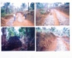 Sell Iron Ore From Direct Source $0