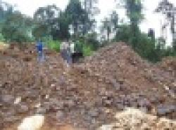 SELL IRON ORE 56. 68% FE CONTENT $0